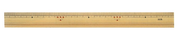 scale, made of bamboo,竹尺